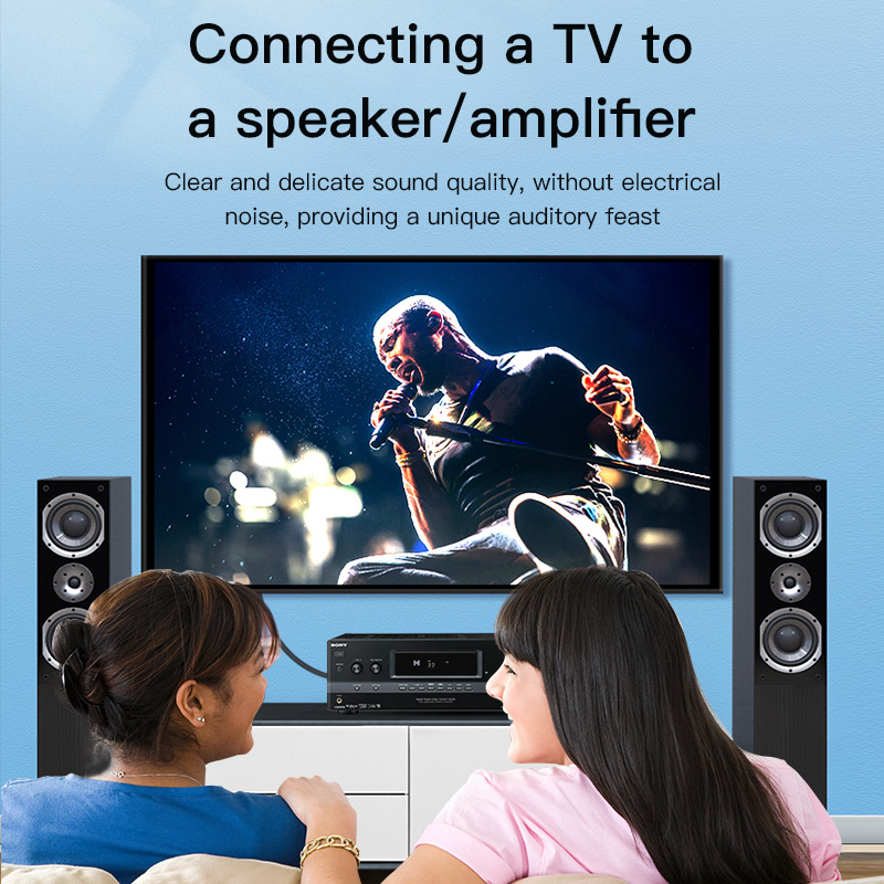 CHOSEAL RCA-kabel Digitale coa - Genius Home Cinema recensie en prijs